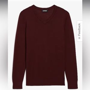 Express Solid Merino Wool V-Neck Sweater